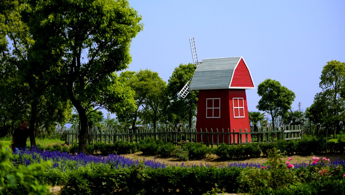 上海崇明岛怎么样？都有哪些景点？4