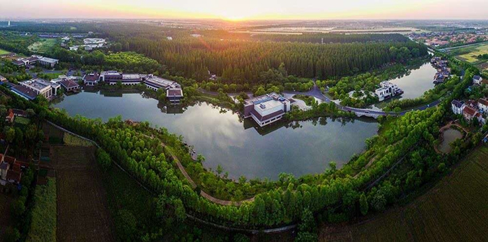 上海崇明岛怎么样？都有哪些景点？6