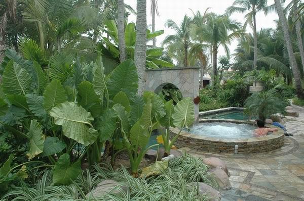 国内都有哪些泡汤的好去处?5