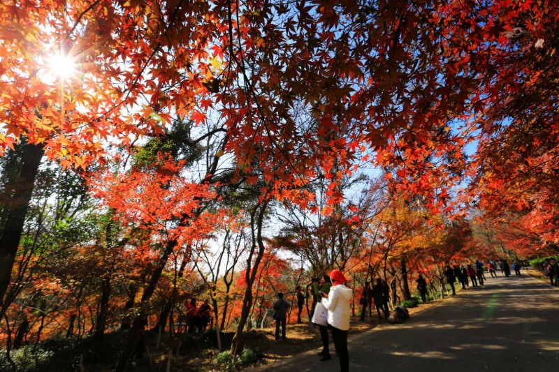 国庆去华东旅游都有哪些好玩的景点?2