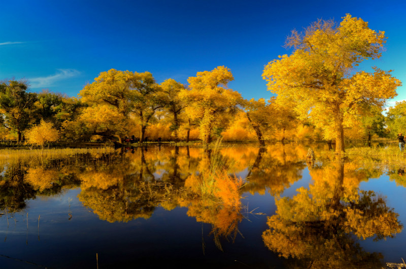 国庆该如何安排自己的假期比较好?1