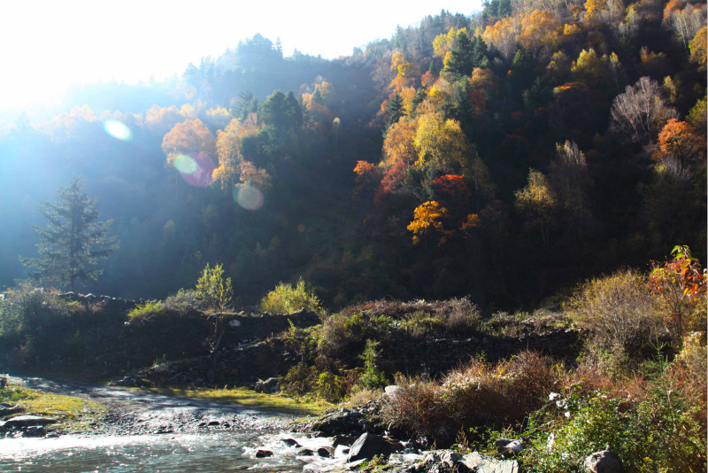 国庆该如何安排自己的假期比较好?5