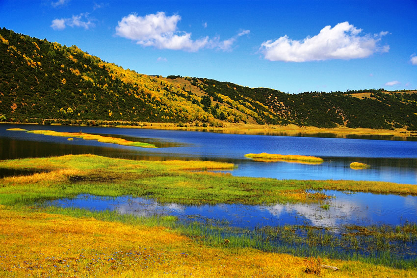 国庆国内都有哪些城市值得去打卡?3