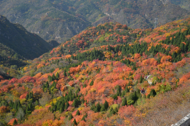 国庆国内都有哪些城市值得去打卡?6