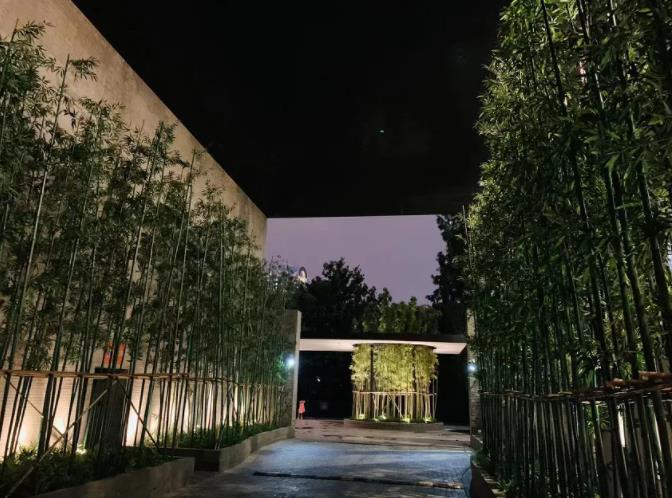 任岁月流逝，风采依旧｜上海璞丽酒店1