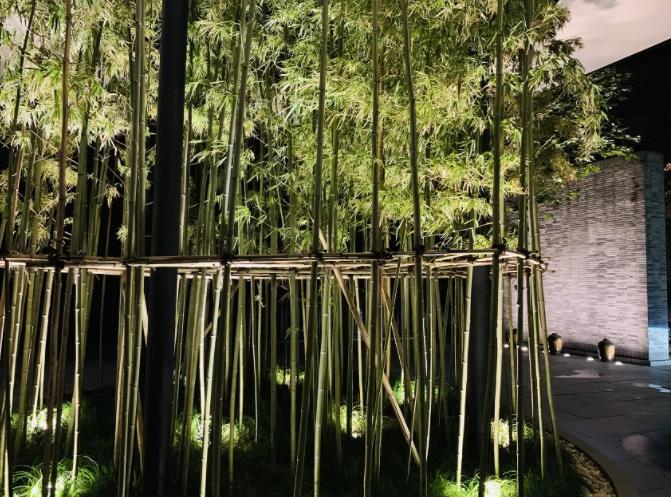 任岁月流逝，风采依旧｜上海璞丽酒店2