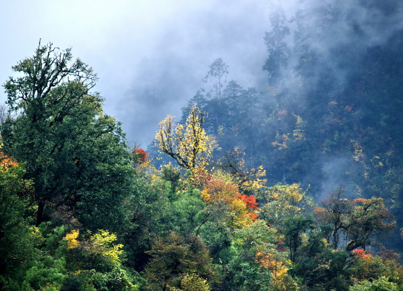 海螺沟最佳赏枫时间是什么时候?3