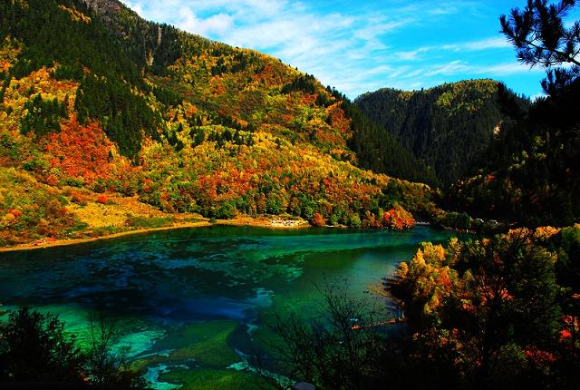 九寨沟什么时候去看红枫比较合适？2