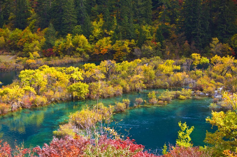 九寨沟什么时候去看红枫比较合适？3