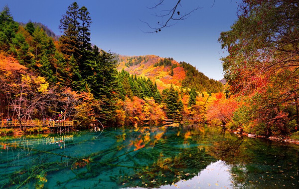 九寨沟什么时候去看红枫比较合适？4