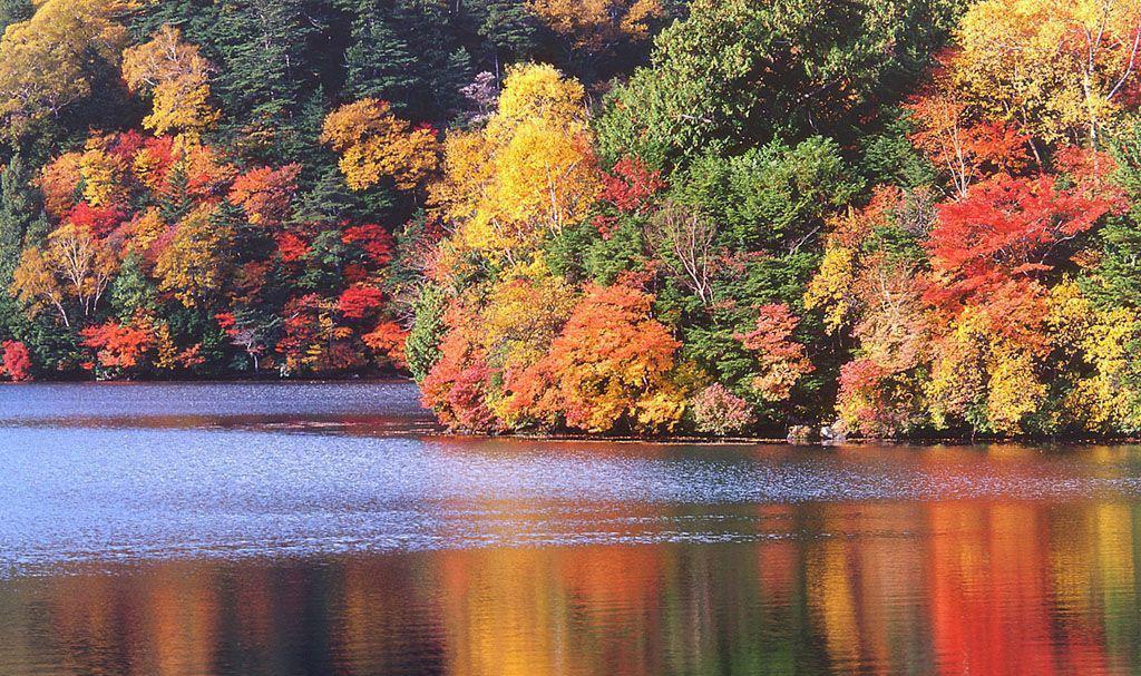 九寨沟什么时候去看红枫比较合适？5