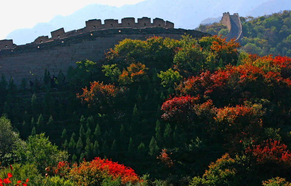 北京八达岭景区都有哪些红枫可看?5