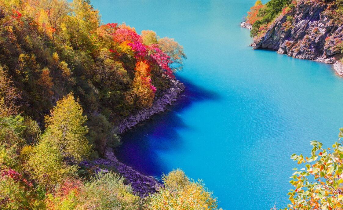 国内都有哪些适合带家人去看红枫的地方?1