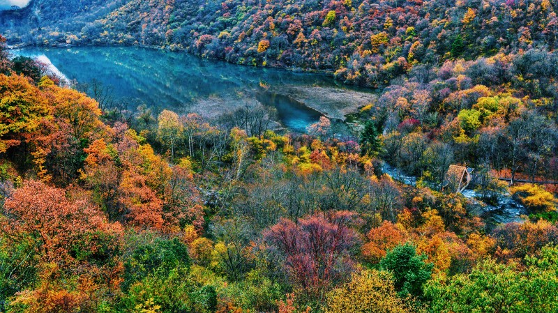 国内都有哪些适合带家人去看红枫的地方?2