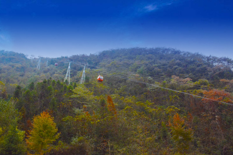 国内都有哪些适合带家人去看红枫的地方?4