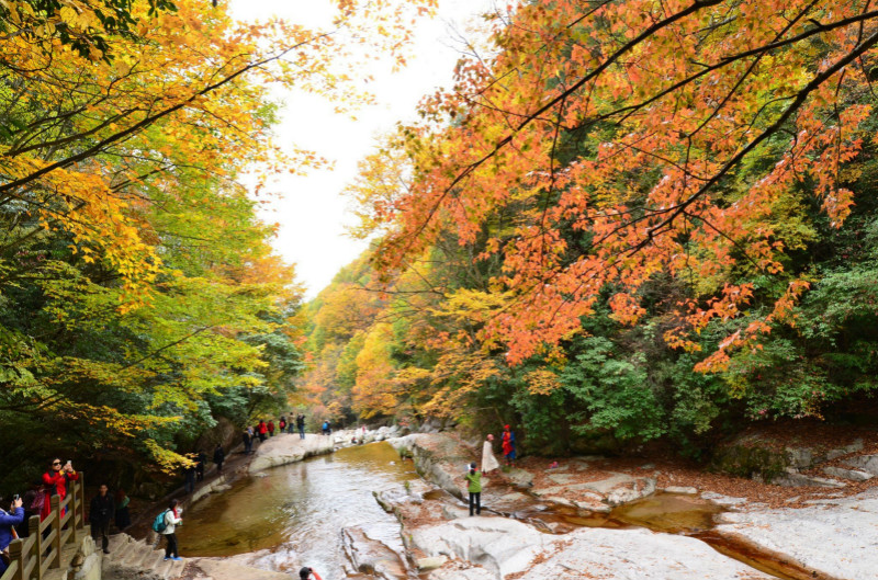 四川光雾山什么时候去看红枫最合适？1