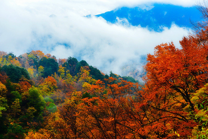 四川光雾山什么时候去看红枫最合适？4