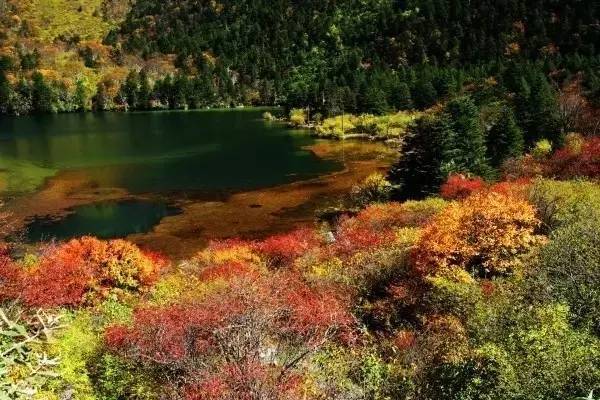 盘点四川都有哪些赏枫旅游景点？5