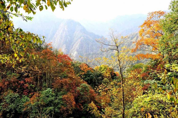 盘点四川都有哪些赏枫旅游景点？6