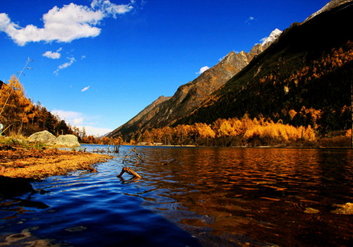 四川米亚罗怎么样?那边红叶好看吗?5