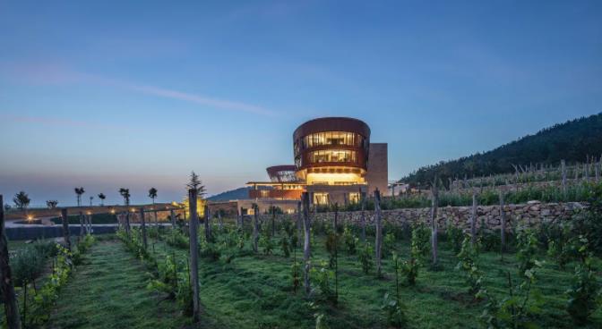 住逃牛岭酒庄,品世界级美酒美食2