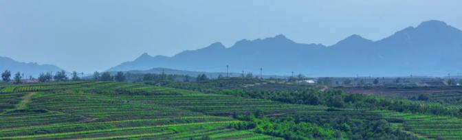住逃牛岭酒庄,品世界级美酒美食3
