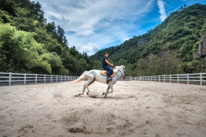 新昌安岚惊艳开业!隐于青崖幽谷的全新度假体验8