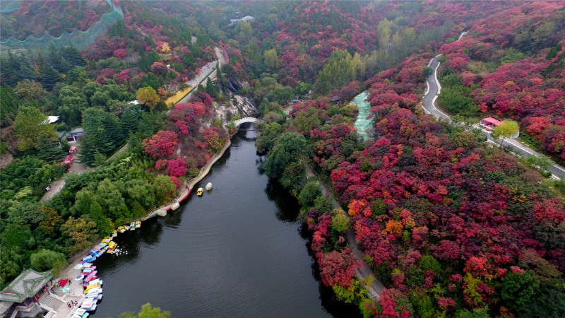 什么时候去济南红叶谷赏枫最合适?2