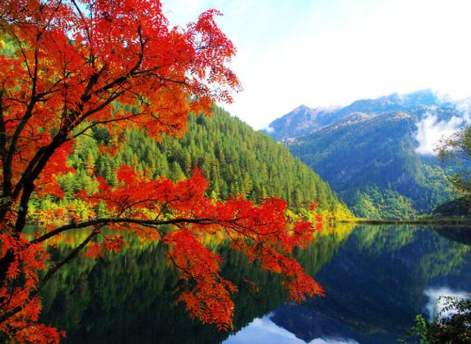 10月正是九寨沟最佳观赏季1