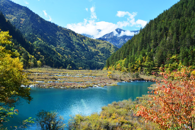 10月正是九寨沟最佳观赏季5