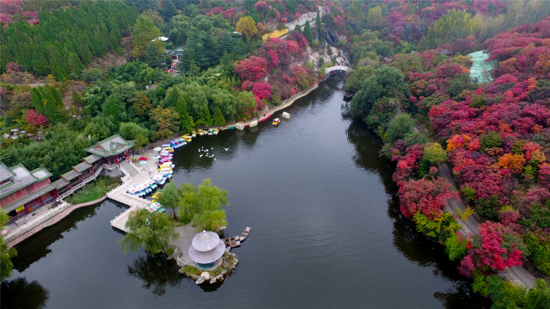 去济南红叶谷赏红枫需要准备多少预算？4
