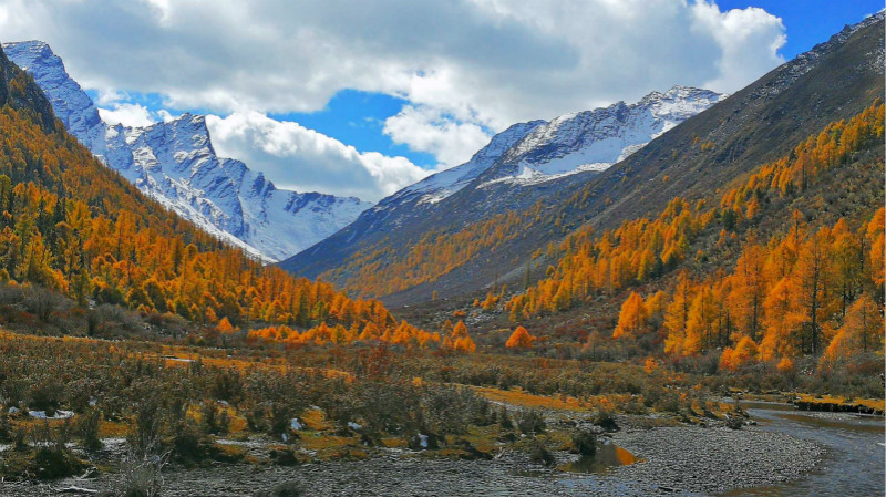 十一月赏红叶的这几个线路了解下4