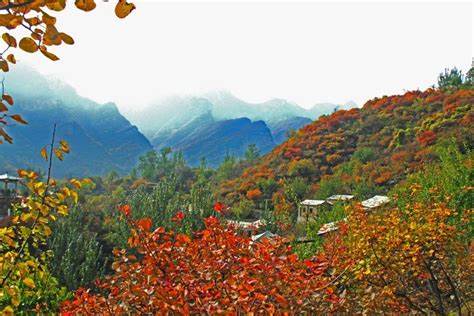 国内自驾赏红叶,这几个地方不要错过3