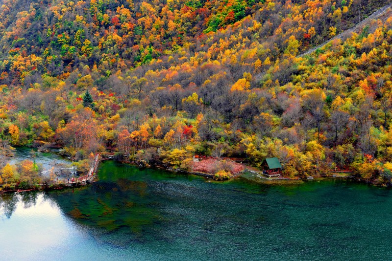 国内赏红叶都要了解哪些细节?2