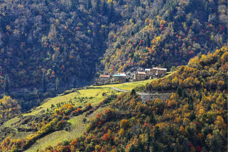 国内赏红叶都要了解哪些细节?3