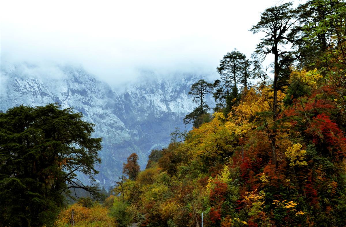 一年之中赏红叶的最佳季节是什么时候？10