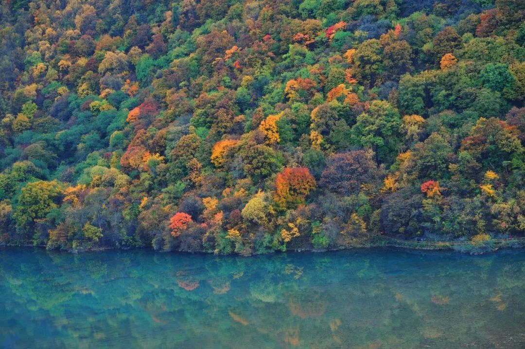 国内赏红叶的绝佳地都有哪些？4