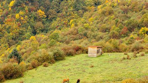 国内赏红叶的绝佳地都有哪些？5