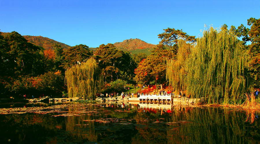 首都北京都有哪些适合赏枫的好去处?1