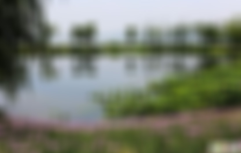 杭州2日自助游攻略1