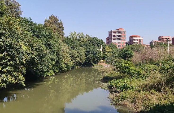 湖北湖北旅游百丰生态园景点介绍1