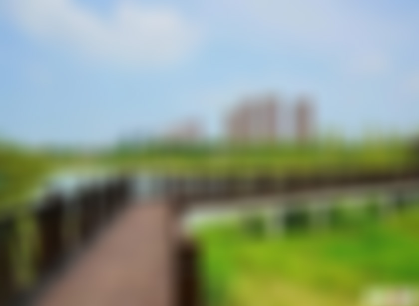 安徽合肥景点花塘河湿地公园景点介绍1