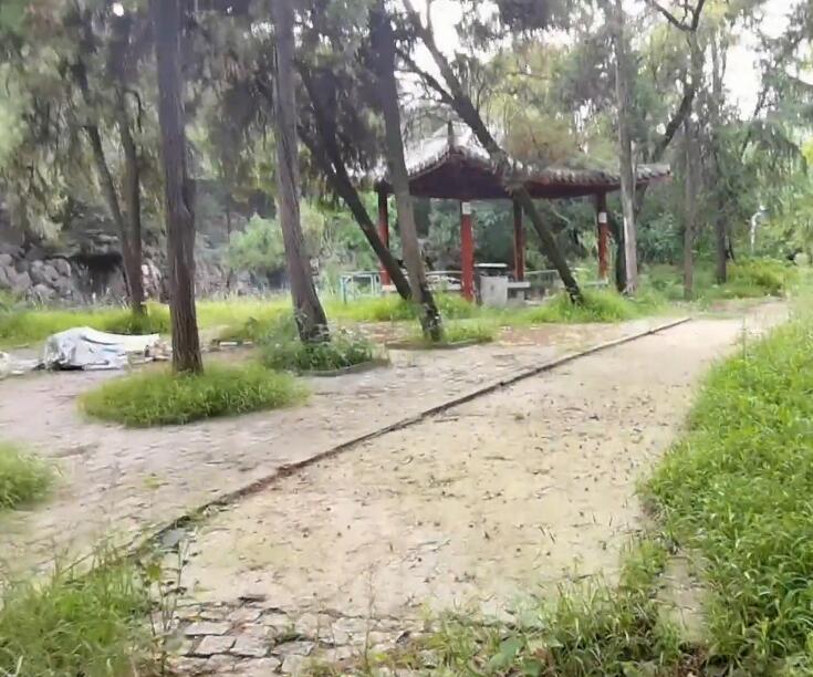 安徽黄山景点翠微寺景点介绍1