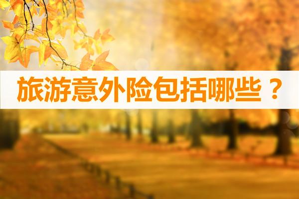 旅游保险常见问题(旅游保险中的常见问题及对策分析)1