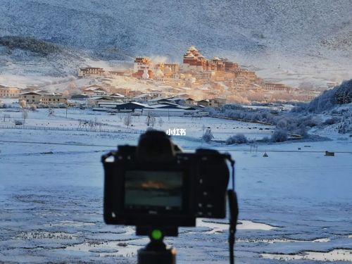 旅游单反镜头推荐(旅游用单反什么镜头合适)2