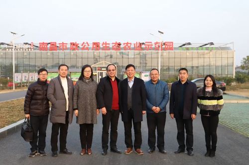 上蔡旅游项目规划(旅游项目规划图)2