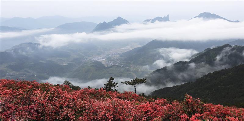 衢江区大洲镇旅游(衢州市衢江区大洲镇镇长)1