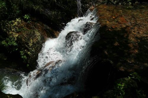 衢江区大洲镇旅游(衢州市衢江区大洲镇镇长)2