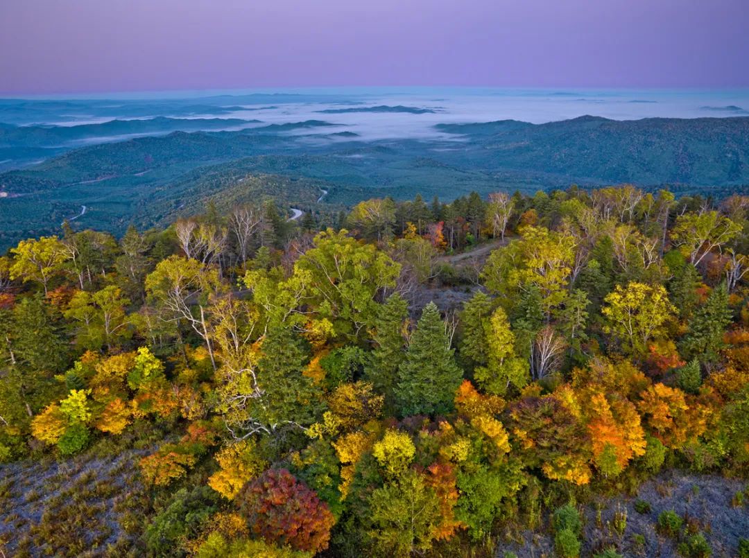 张家界旅游一城通(张家界旅游一诚通)1