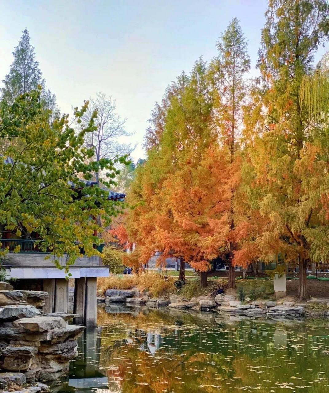 武汉秋季旅游景点(武汉市区旅游景点攻略)2